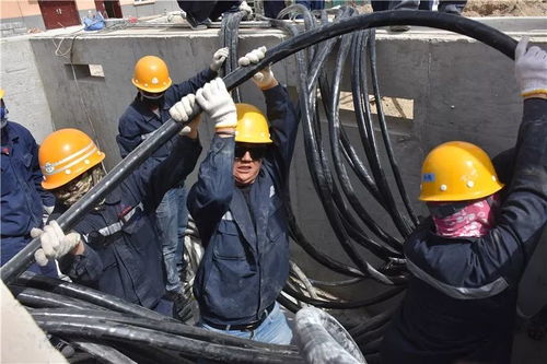 新時代 新作為 新風(fēng)采 2019年力天機(jī)械榮耀庫供八件大事揭曉